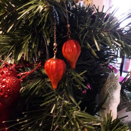 Physalis en suspension