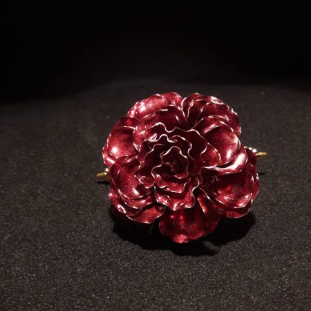 Dianthus, le gracieux